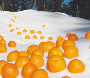 appelsin-1