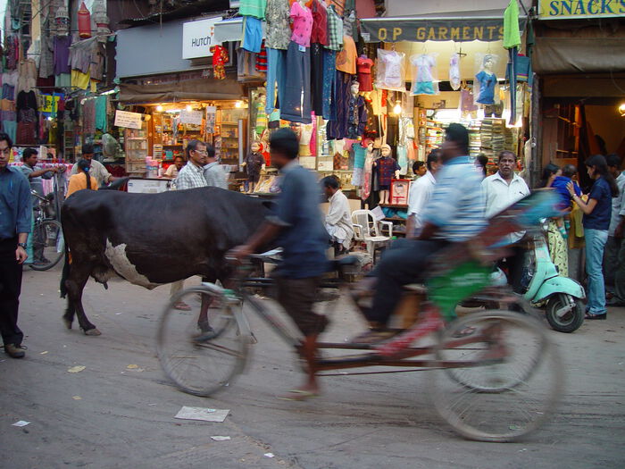 cow-«delhi-velotaxi»-av-taken-by-axelboldt-wikimedia