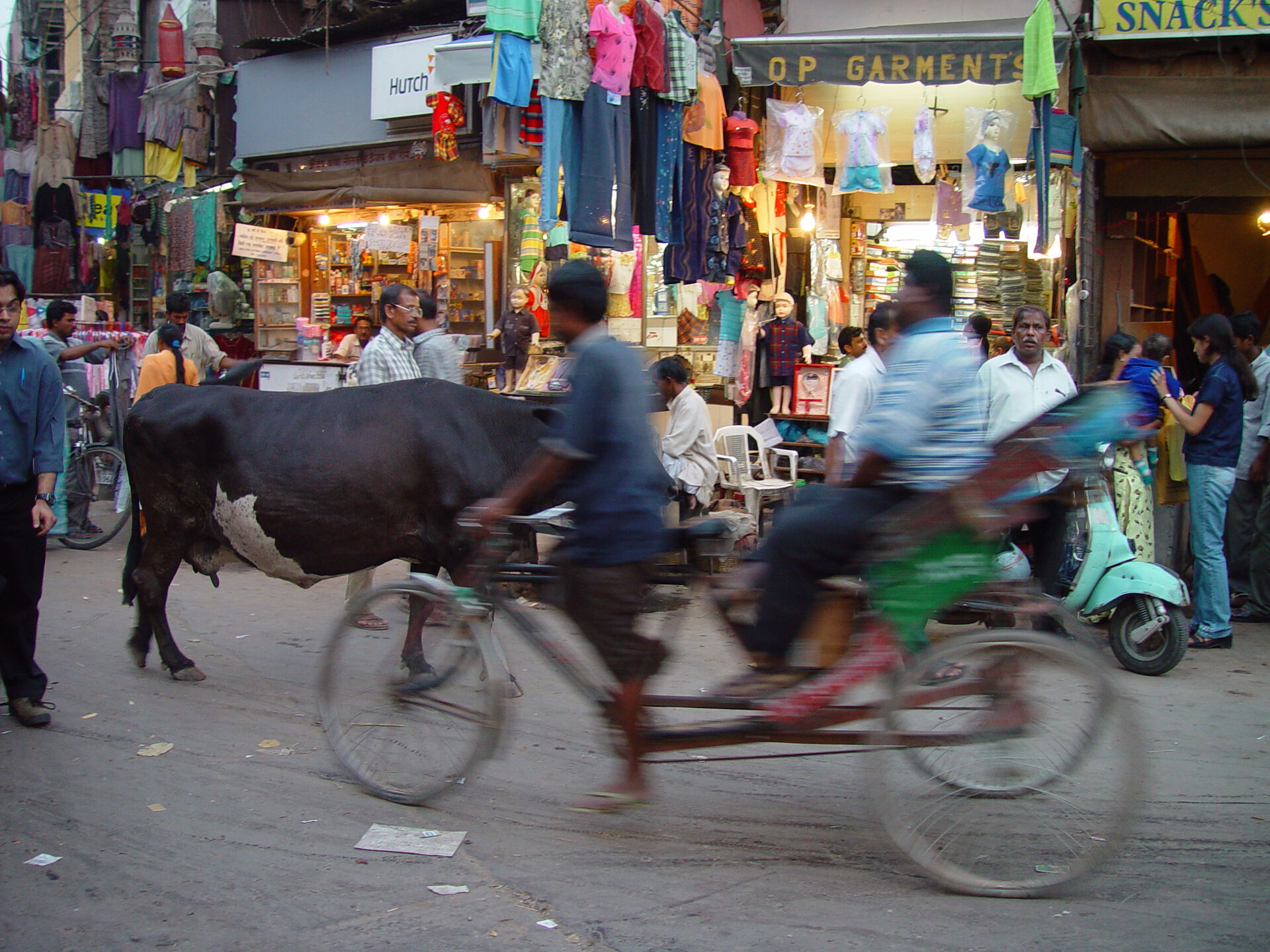 cow-«delhi-velotaxi»-av-taken-by-axelboldt-wikimedia